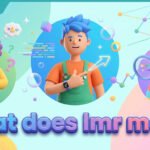 what does lmr mean
